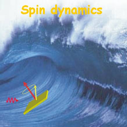 Spin Dynamics